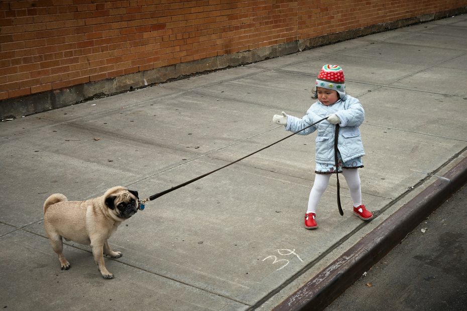 girl pulling the collar of dog during daytime