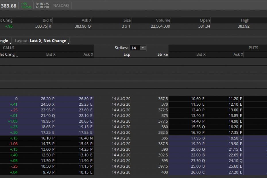 aapl options example