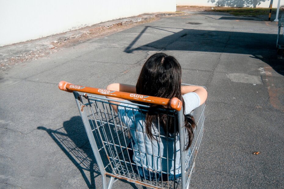 girl in gray grocery cart